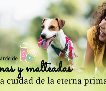 Tarde de donas