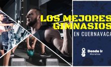 Los 3 mejores gimnasios de cuernavaca