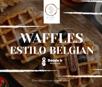 Waffles estilo belgian