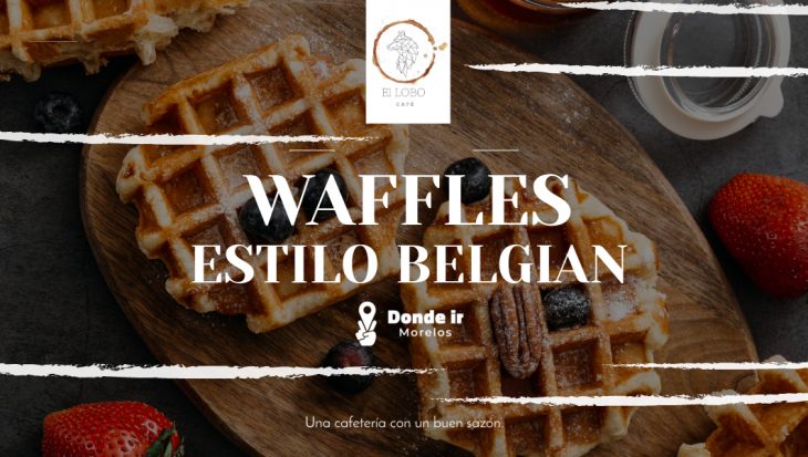 Waffles estilo belgian