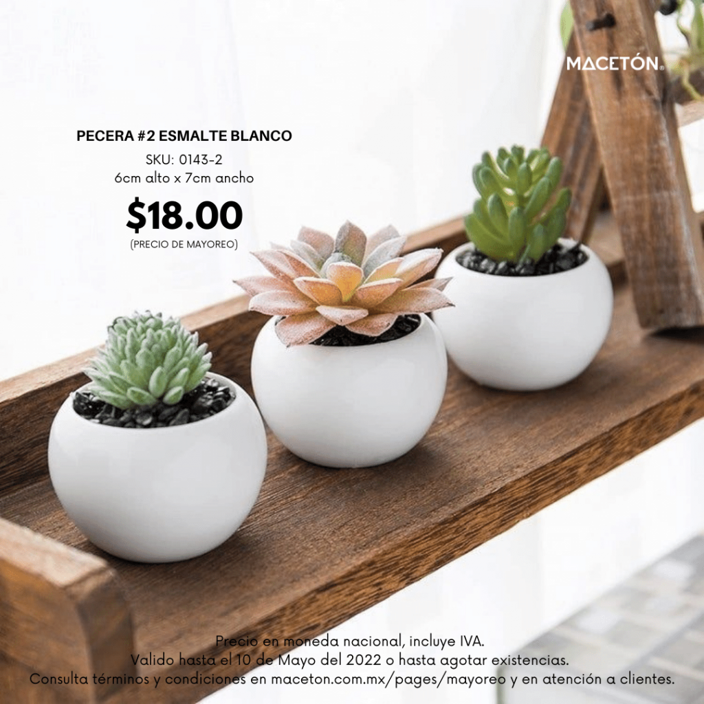 PROMOCIONAL PECERA MINI (1)