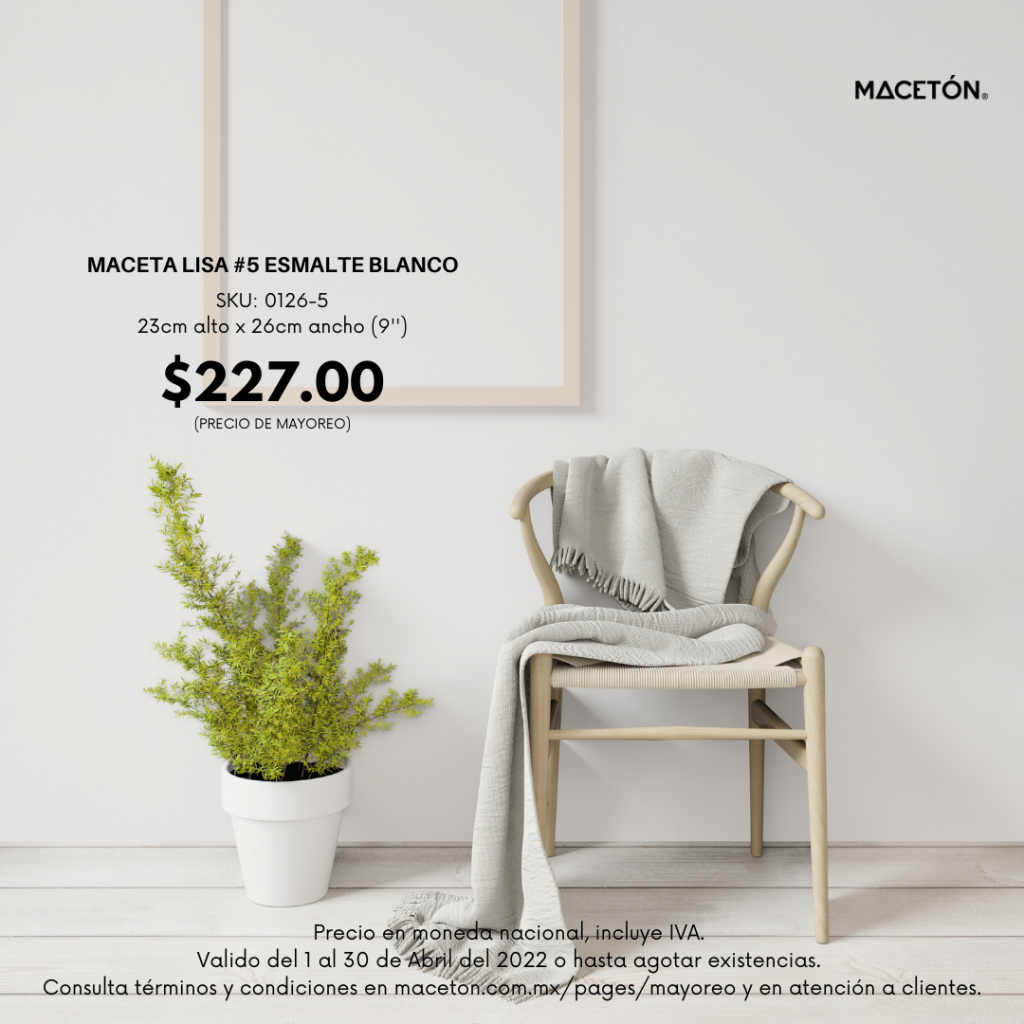 Promocional Maceta Clasica #4
