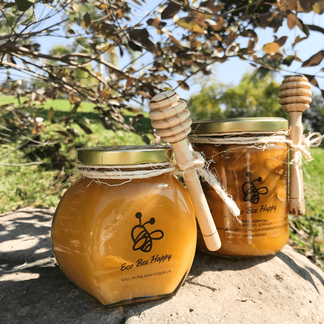 Eco Bee Happy Oaxtepec