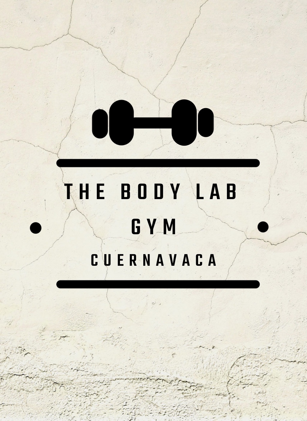 The Body Lab Gym